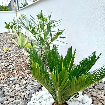 & Pool Διαμέρισμα Abades (Tenerife)