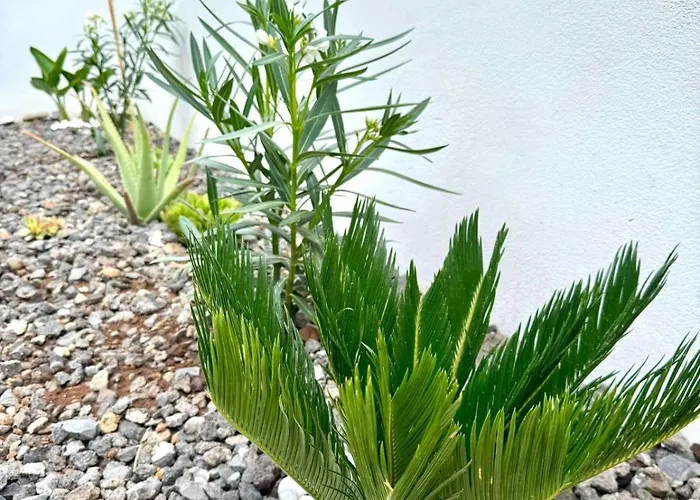 & Pool Apartmán Abades (Tenerife)